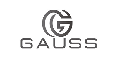 株式会社GAUSS